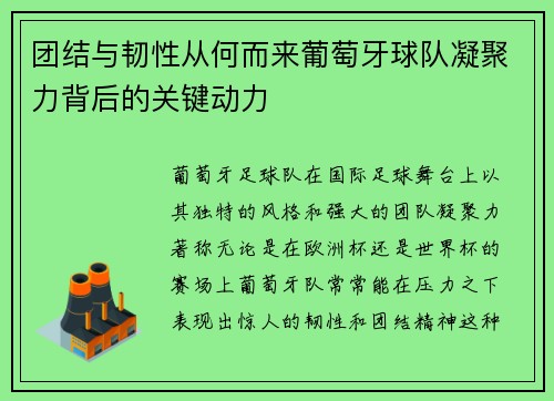 团结与韧性从何而来葡萄牙球队凝聚力背后的关键动力