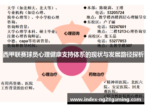 西甲联赛球员心理健康支持体系的现状与发展路径探析